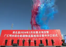 开云体育平台 -广汇集团破产最新消息今天公告